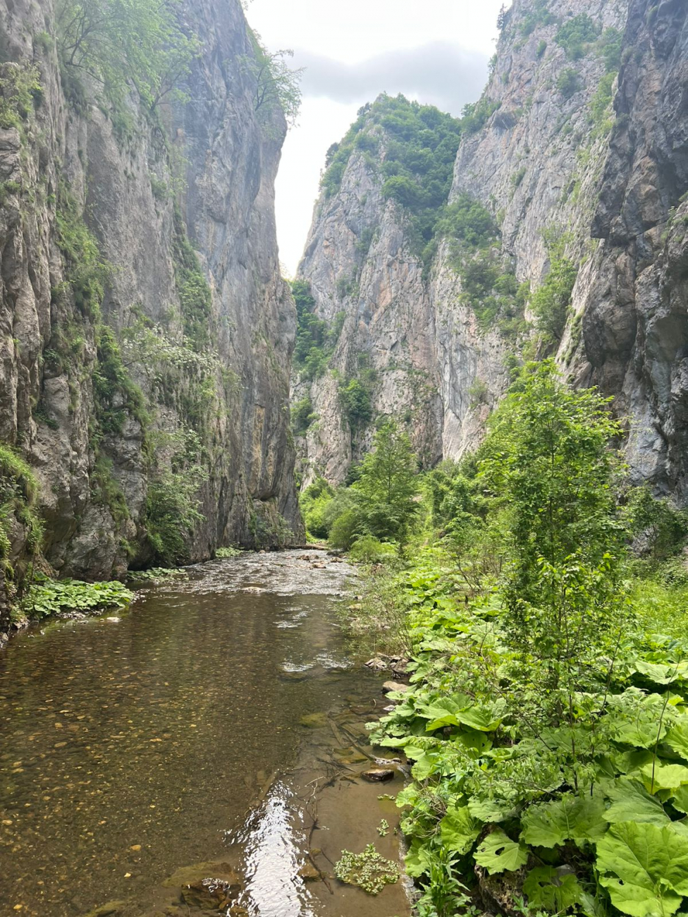 Kanioni i Llëngës